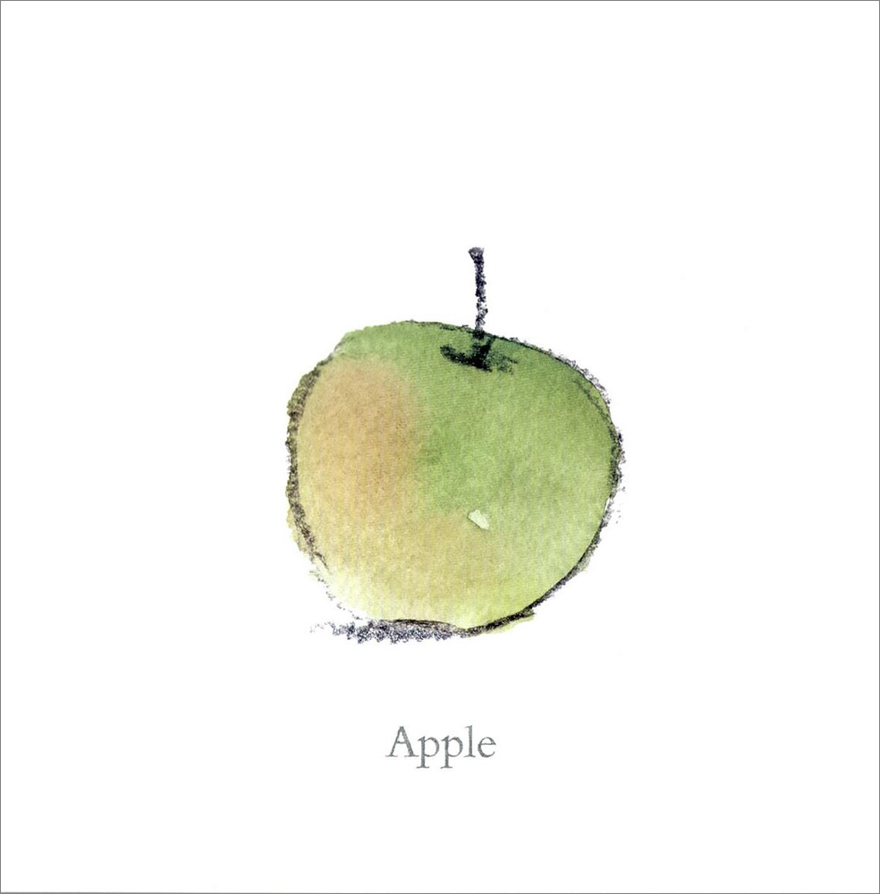 Pictory Infant & Toddler 08 : Orange Pear Apple Bear (Paperback)
