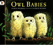 Pictory Pre-Step 34 / Owl Babies 