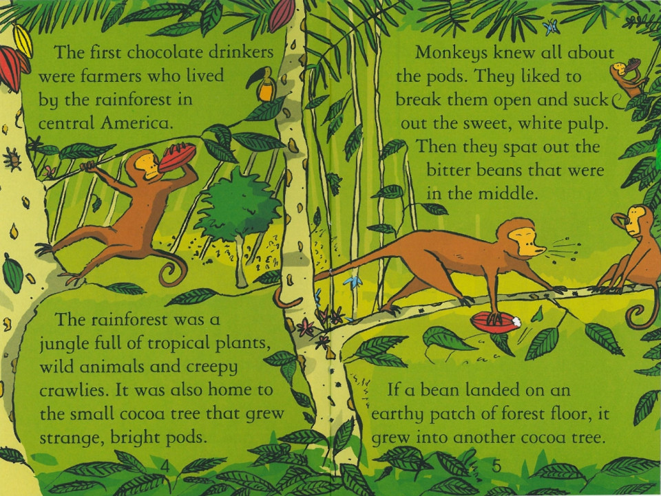 Usborne Young Reading Level 1-27 / The Story of Chocolate 