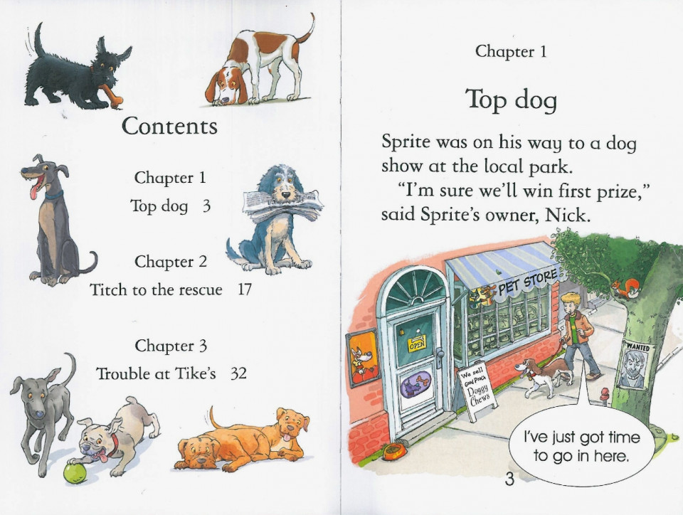 Usborne Young Reading Level 1-48 / Stories of Dogs 