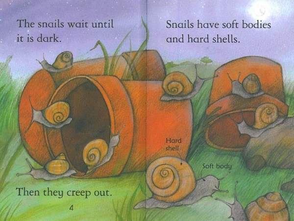 Usborne First Reading Level 2-19 / Snails 