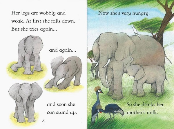Usborne First Reading Level 4-15 / Elephants 