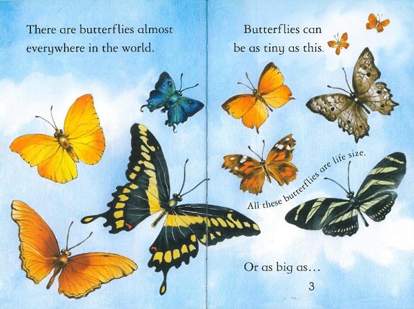 Usborne First Reading Level 4-14 / Butterflies 