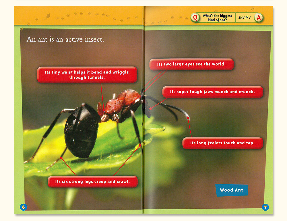 National Geographic KIDS Readers: Creepy Crawly Collection
