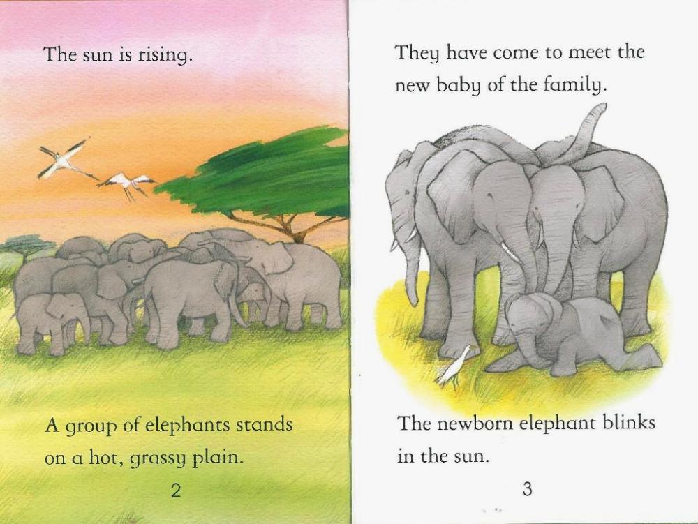 Usborne First Reading Level 4-15 Set / Elephants (Book+CD+Workbook)