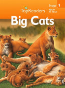 Top Readers 1-01 / AM-Big Cats 