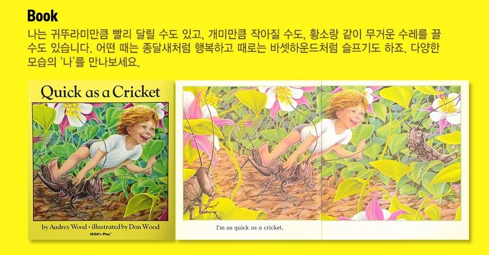 Pictory Workbook Set My First Literacy Level 2-03 / Quick as a Cricket (Book+CD+Workbook)