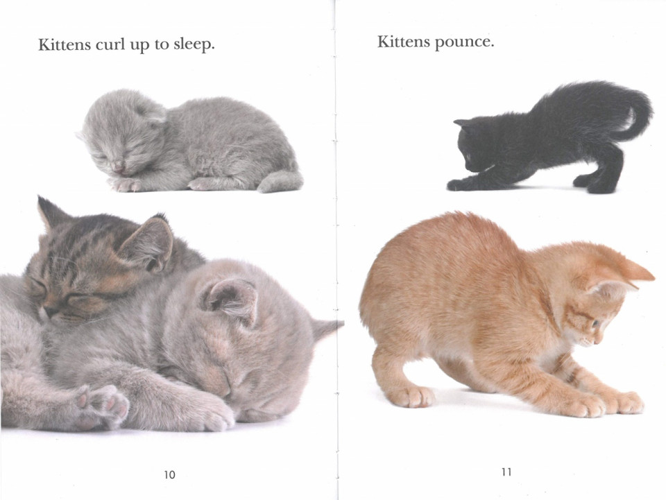 Penguin Young Readers 2-26 / Kit-Kit-Kittens (Book+CD+QR)