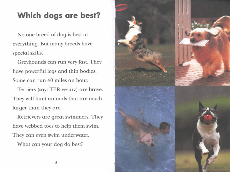 Penguin Young Readers 3-05 / Why Do Dogs Bark? (Book+CD+QR)