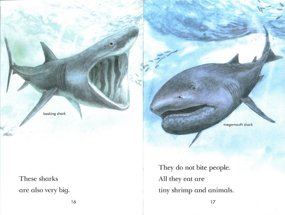 Penguin Young Readers 3-06 / Sharks! (Book+CD+QR)