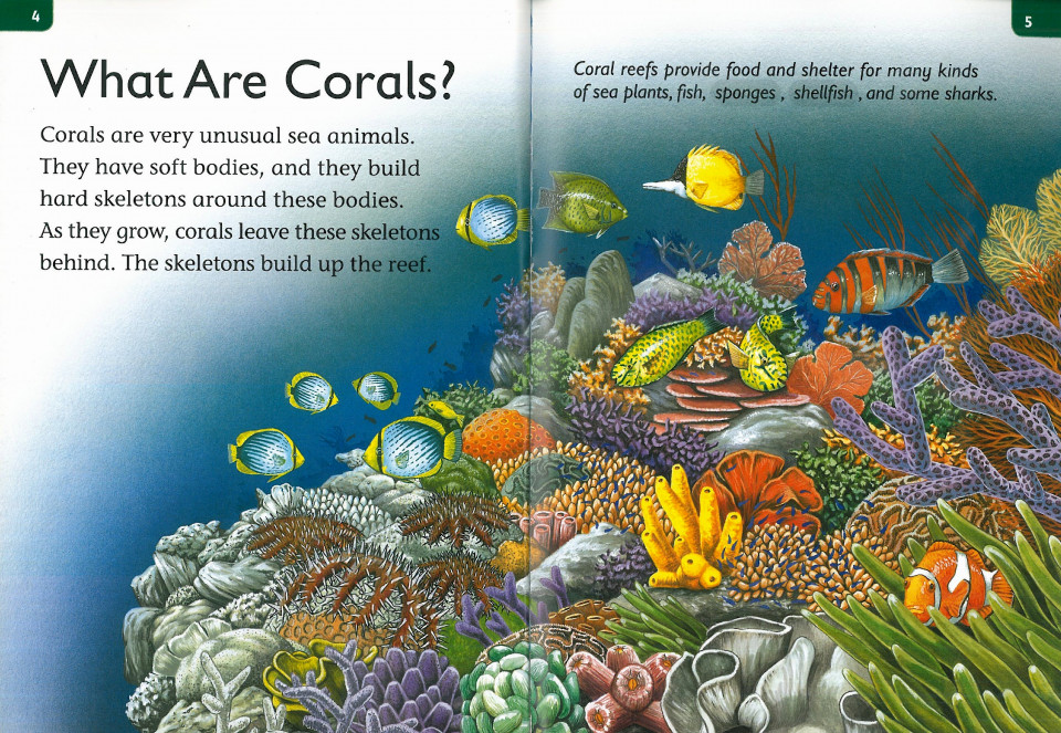 Top Readers 3-08 / ER-Coral Reefs