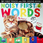 My First Touch and Feel Sound Book: Noisy First Words