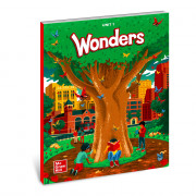 Wonders(23) 1.1 Literature Anthology