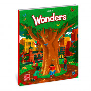 Wonders Literature Anthology 1.3