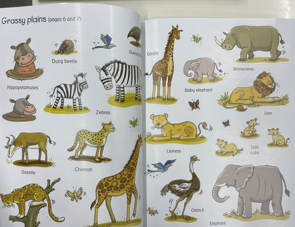 Usborne Sticker & Colouring Book / Animal