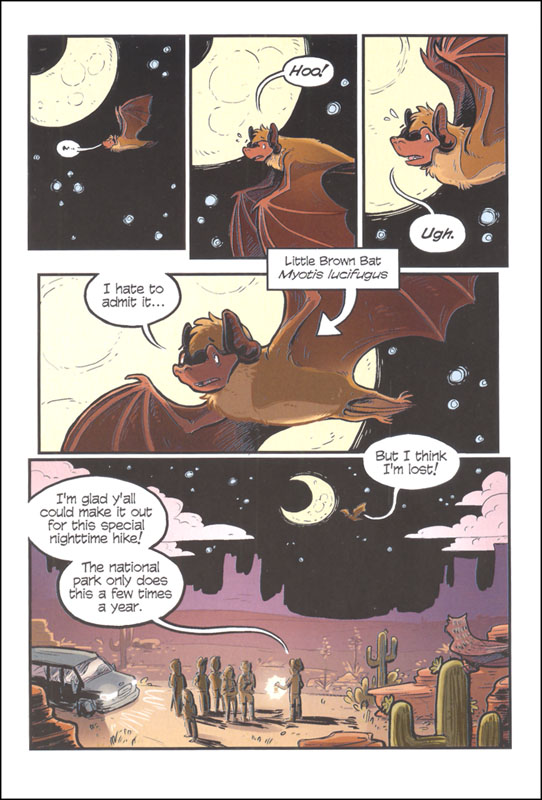 Science Comics : Bats