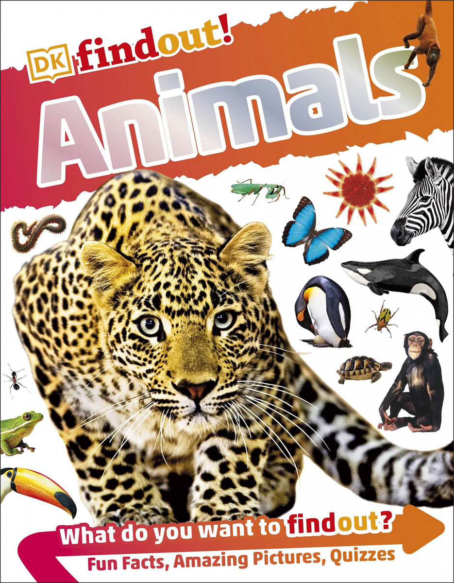 DK findout! : Animals