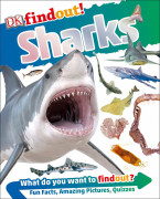 DK findout! : Sharks