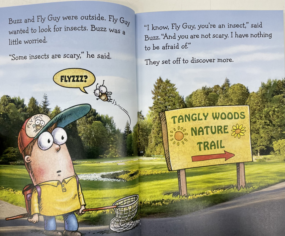 Scholastic Reader Level 2 / Fly Guy Presents: Insects