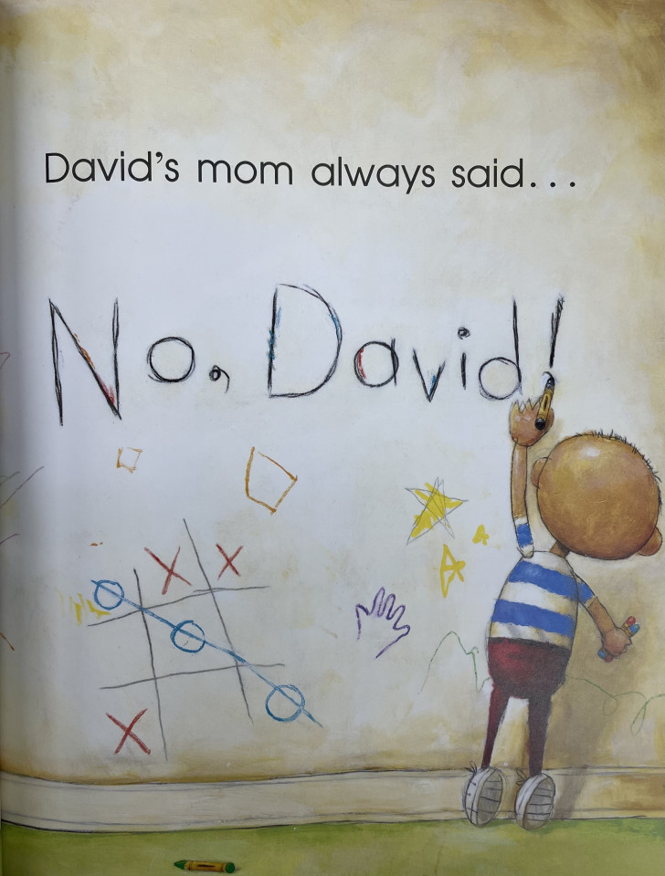 Scholastic Storybook SS / No David (caldecott)