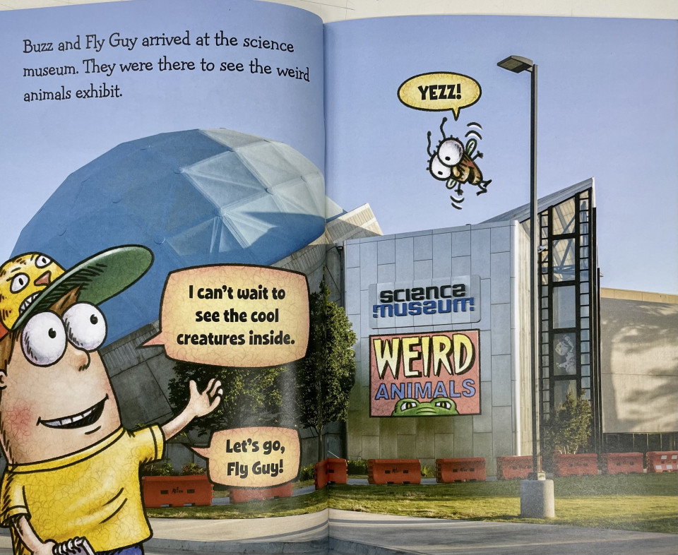 Scholastic Reader Level 2 / Fly Guy Presents: Weird Animals