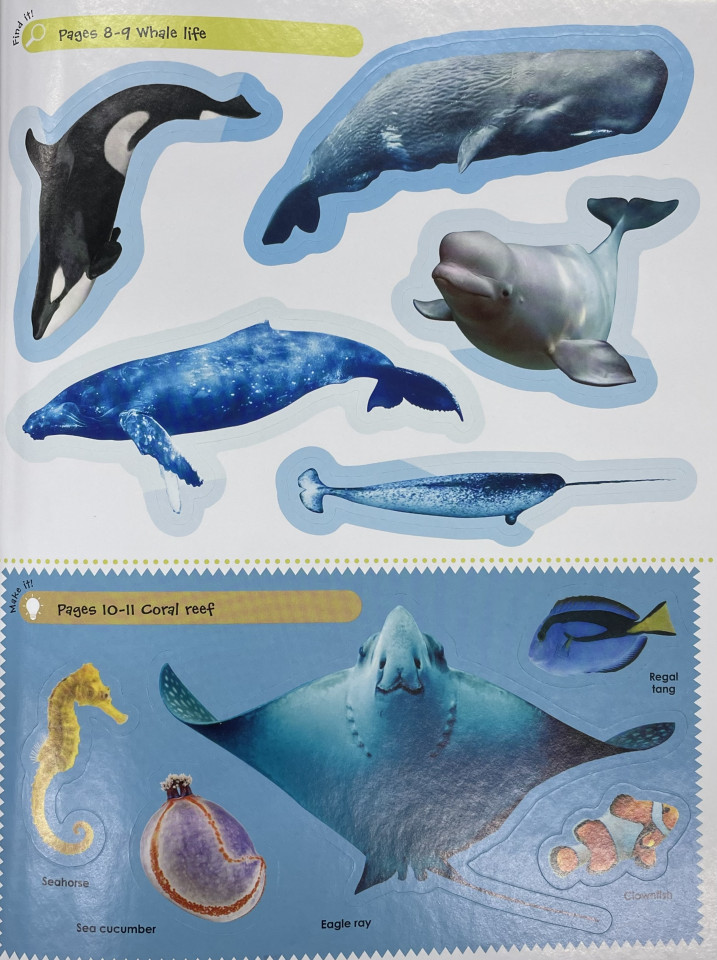 The Ultimate Sticker Book: Ocean
